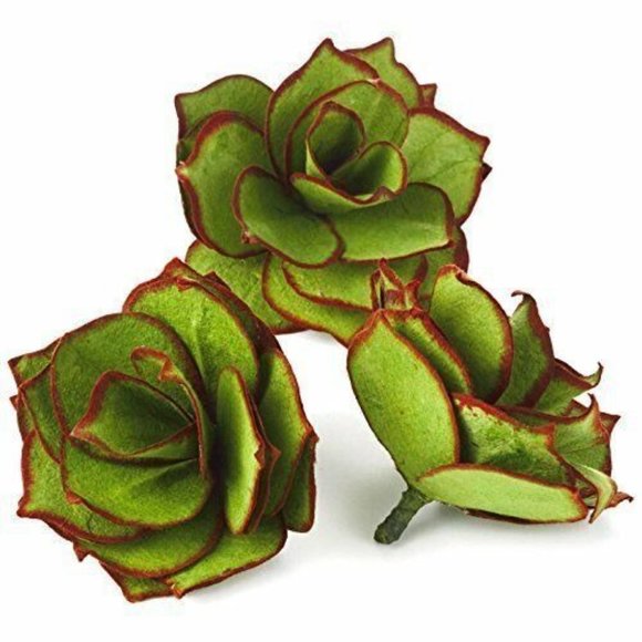 Hallmark Handcrafted Decorative Succulents Plants Set of 3 Home Decor - Picture 4 of 4